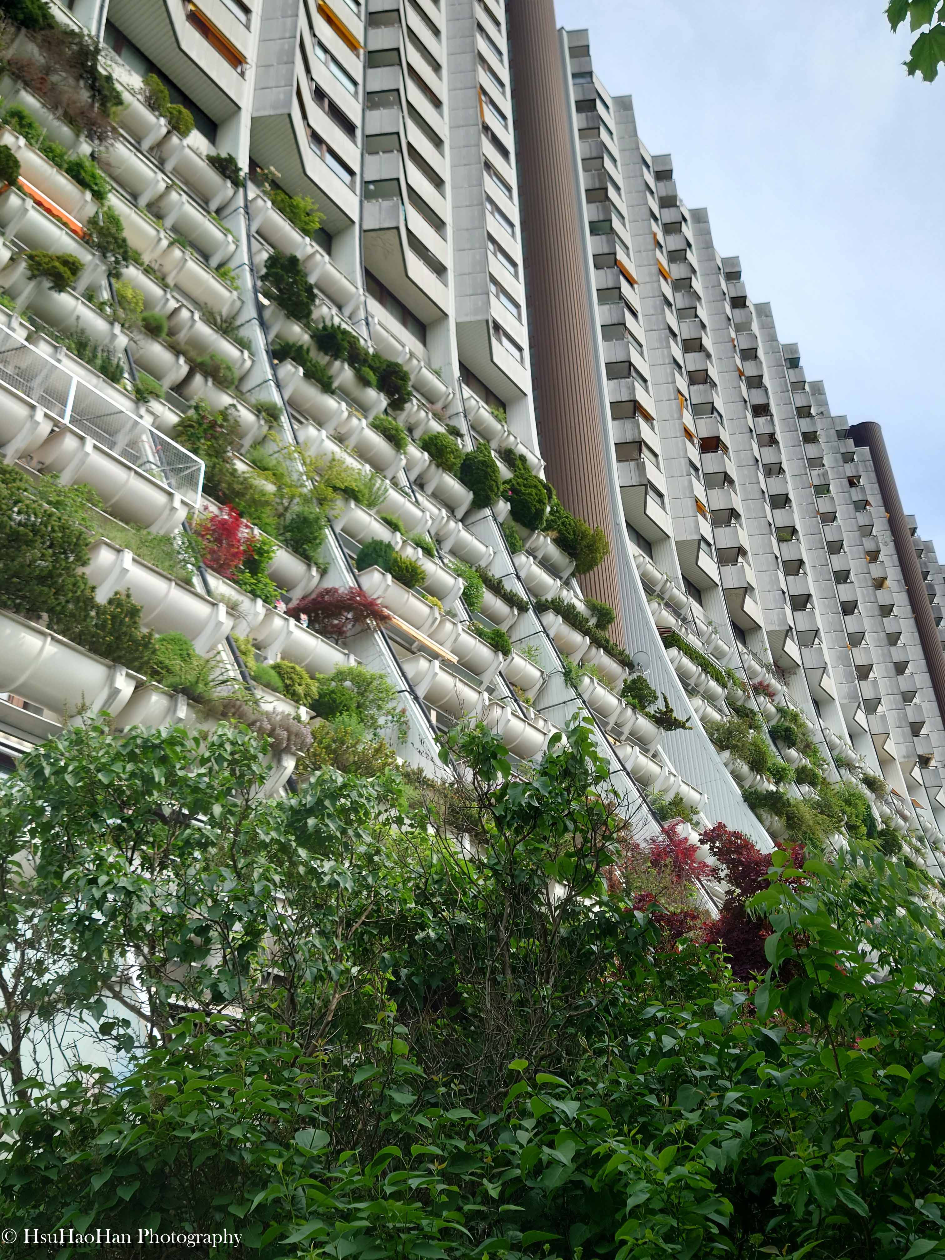 奧地利維也納 Wohnpark Alterlaa 住宅的立面細節，展示了其標誌性的階梯式露台，每個白色花槽中都長滿了茂盛的植物。