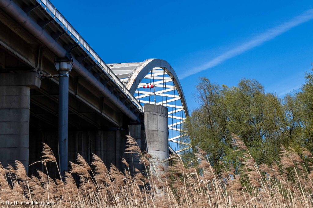 an Brienenoordbrug arch bridge structure with nature foreground - 鹿特丹 Van Brienenoordbrug 拱橋結構與自然地景 - Photo by Hsu Hao Han