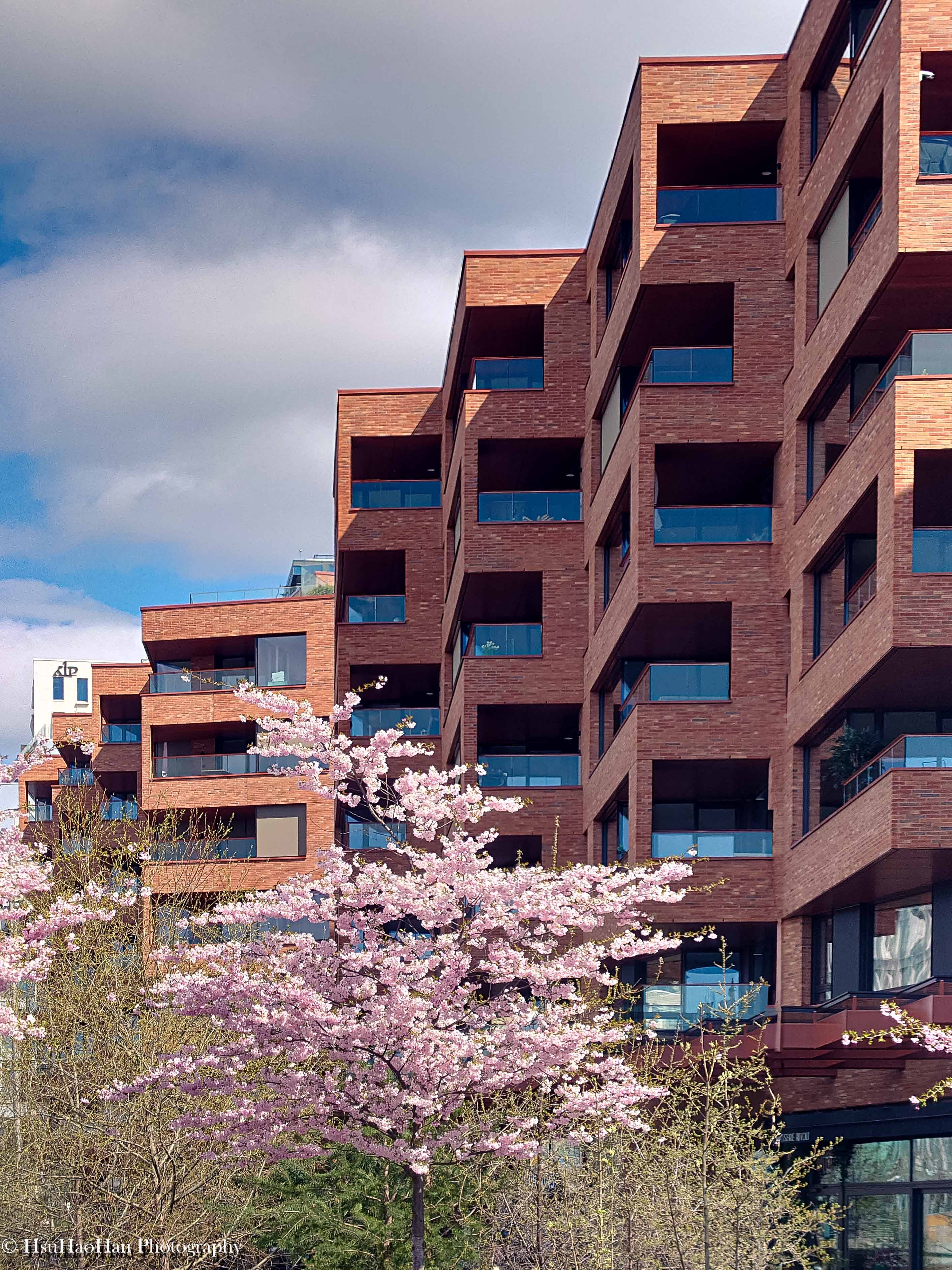 挪威奧斯陸 Sørenga 住宅區的紅磚建築立面，在藍天與盛開的粉色櫻花樹映襯下。