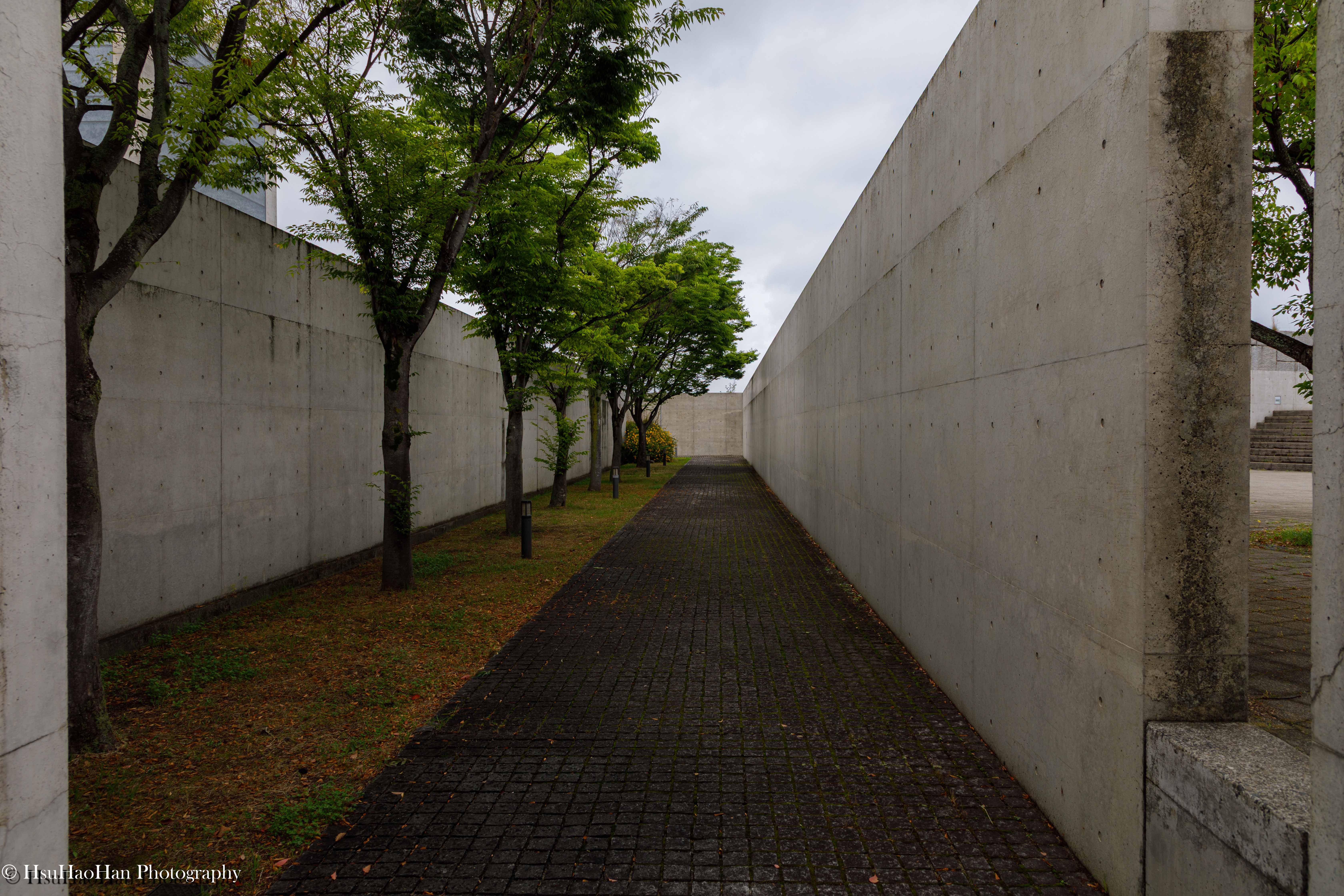 安藤忠雄設計的狹山池博物館外部廊道，一排綠樹夾在高聳的清水混凝土牆之間。