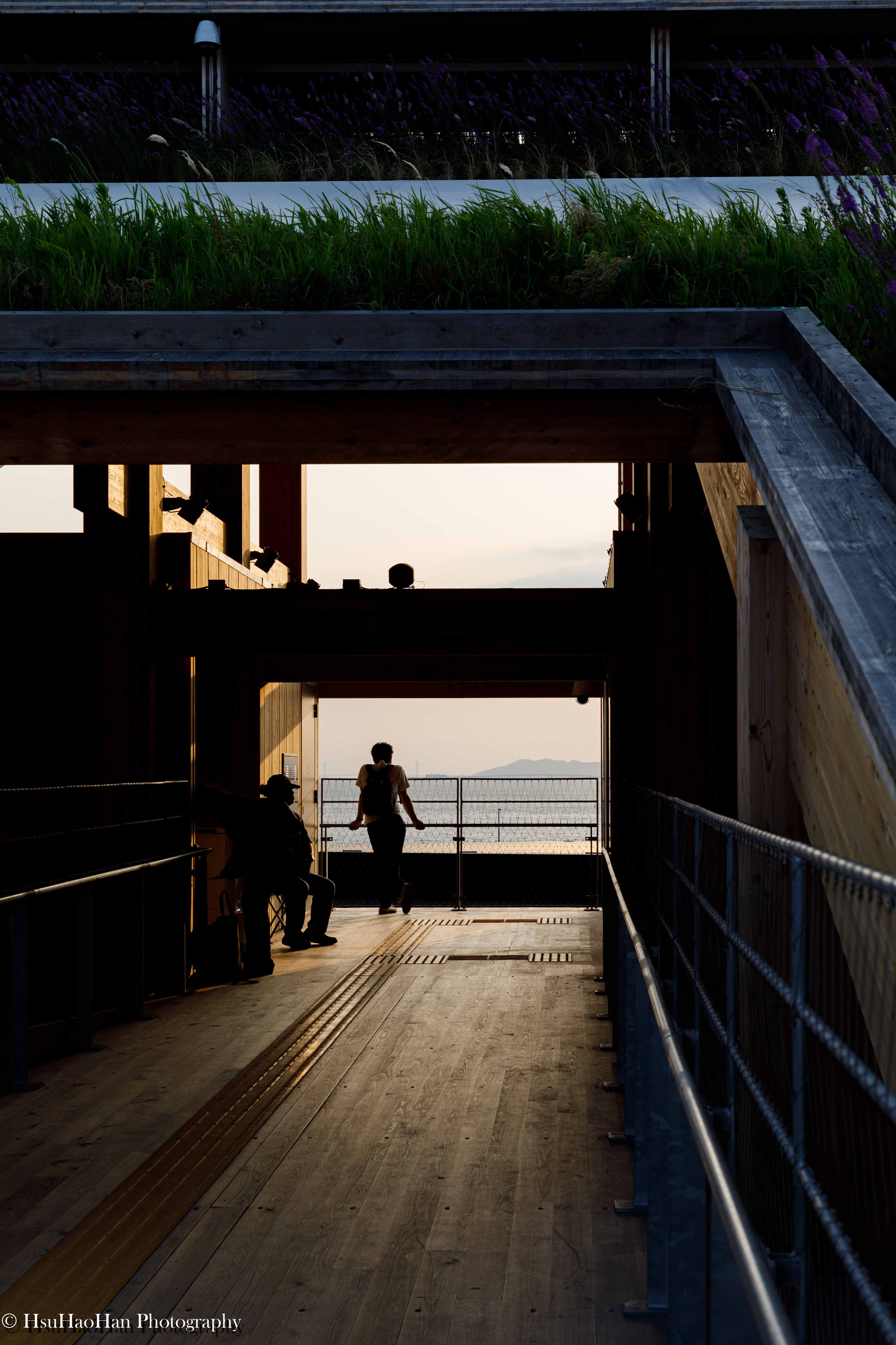黃昏時分，從2025大阪萬博的木造環形屋頂步道望出去，可見遠方的海面與夕陽餘暉，步道上有休憩的人影剪影。